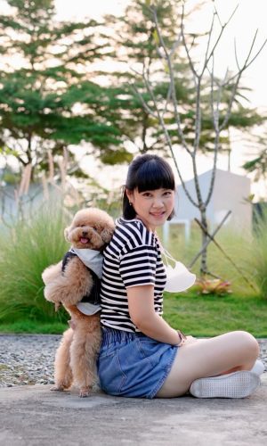 pets